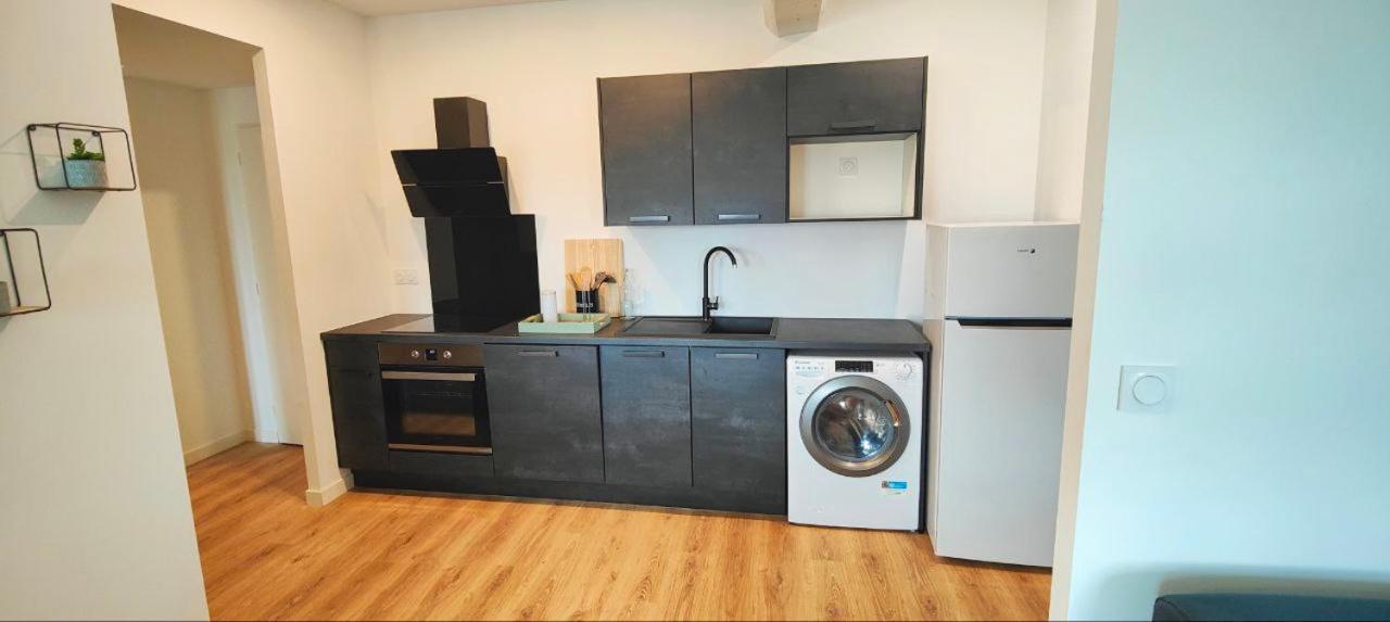 Appartements A Theme Clermont-Ferrand Luaran gambar