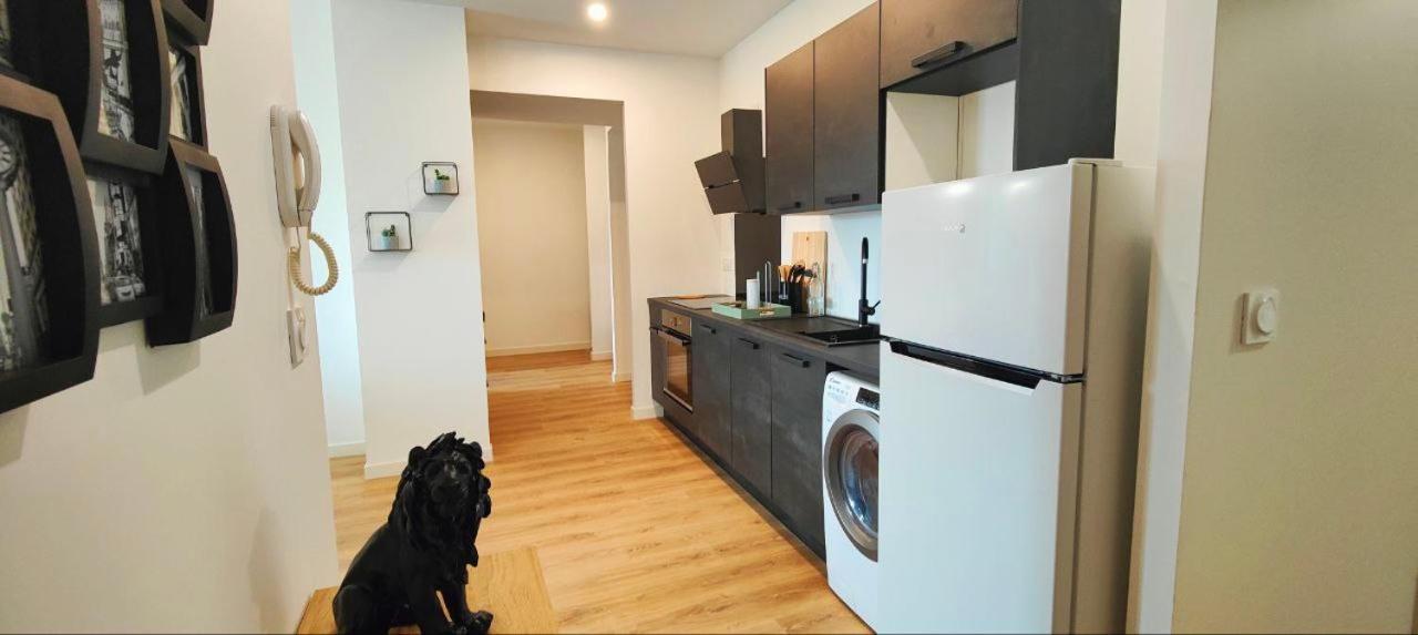 Appartements A Theme Clermont-Ferrand Luaran gambar